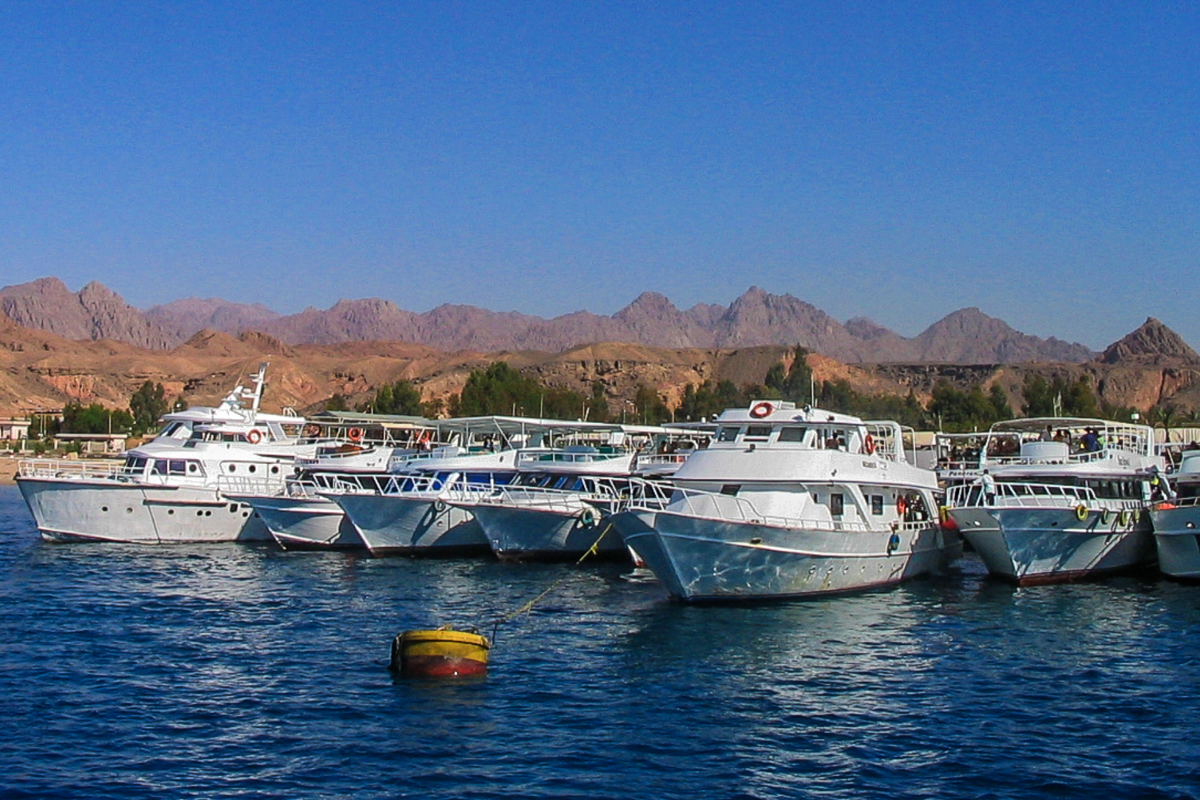 Ras Mohamed (6)