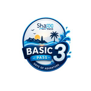 Basic 3